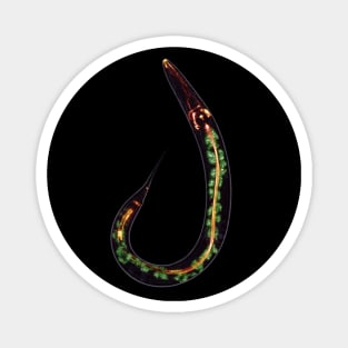C. elegans - no text Magnet